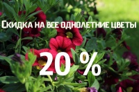 Скидка на однолетние цветы 20 %