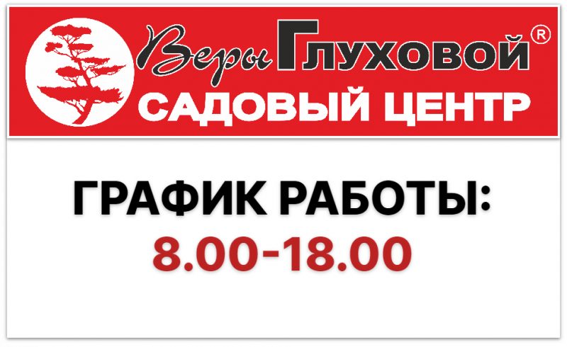 Внимание, важная информация!