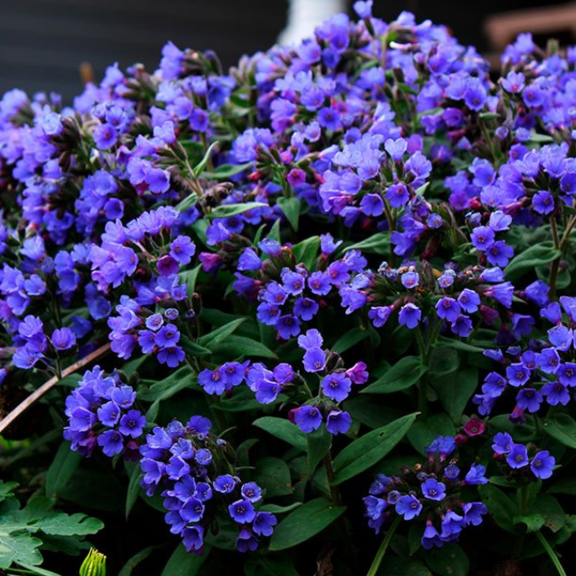 Основное изображение товара