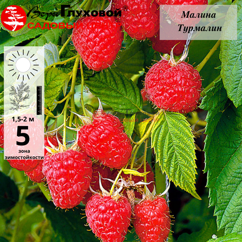 Рисунок 171.jpg