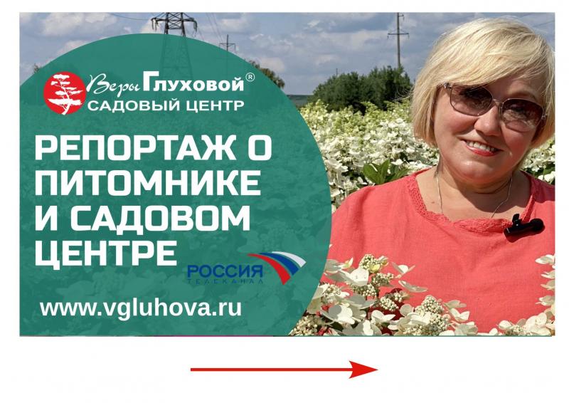 На Россия1 вышел репортаж о нашем Садовом Центре и Питомнике