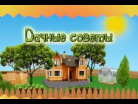 Повтор эфира Дачные советы