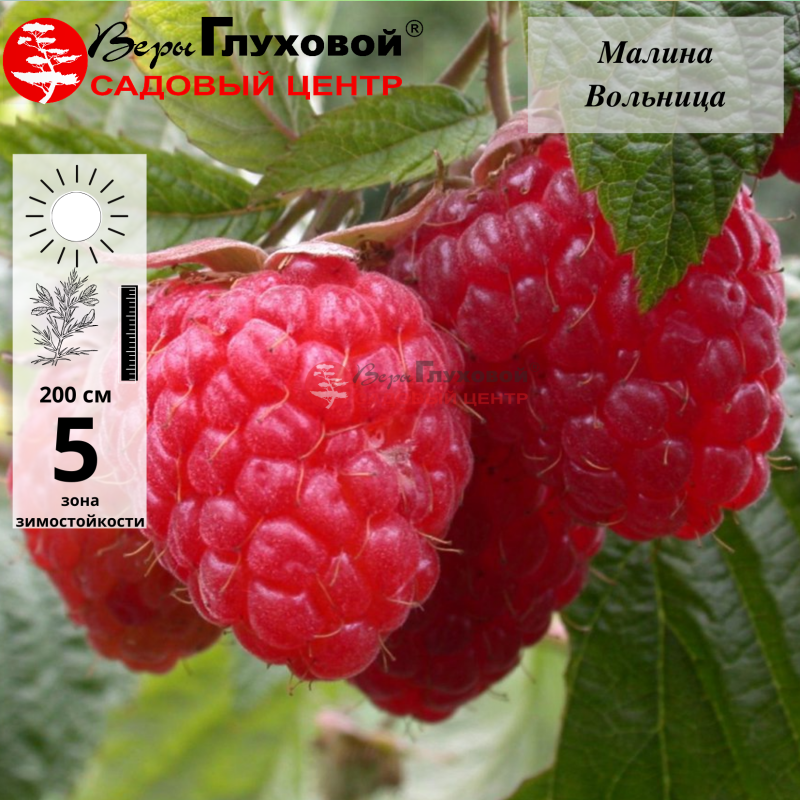 Рисунок 128.jpg