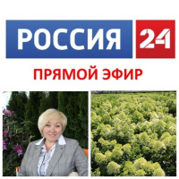 Вера Глухова 1 августа на канале Россия 24