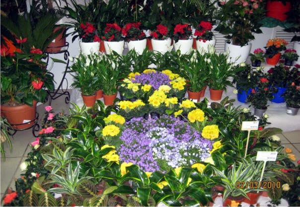 Подарки для женщин Подарки для женщин