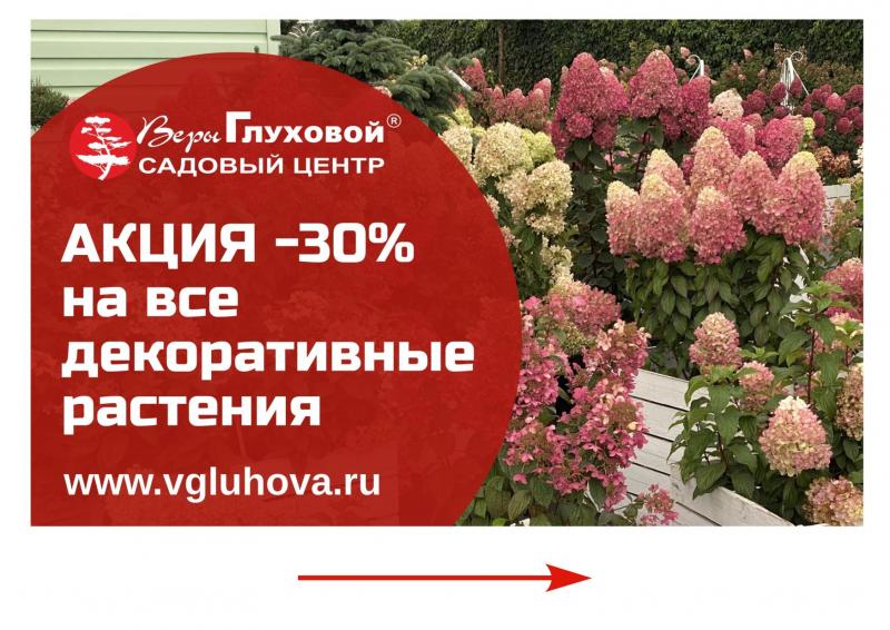 с 1 - 30 октября на все декоративные растения скидка 30% (есть ограничения)