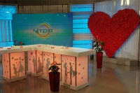 Дизайнеры Садового центра Веры Глуховой украсили телевизионную студию телекомпании Губерния г. Самара.