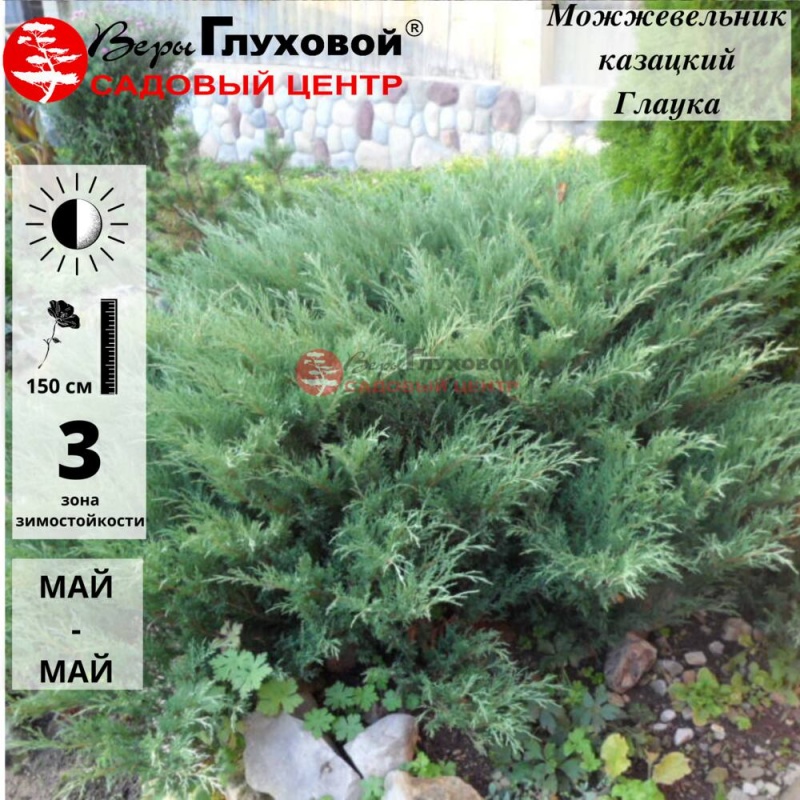 Основное изображение товара