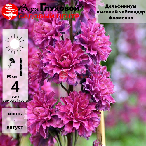 Основное изображение товара