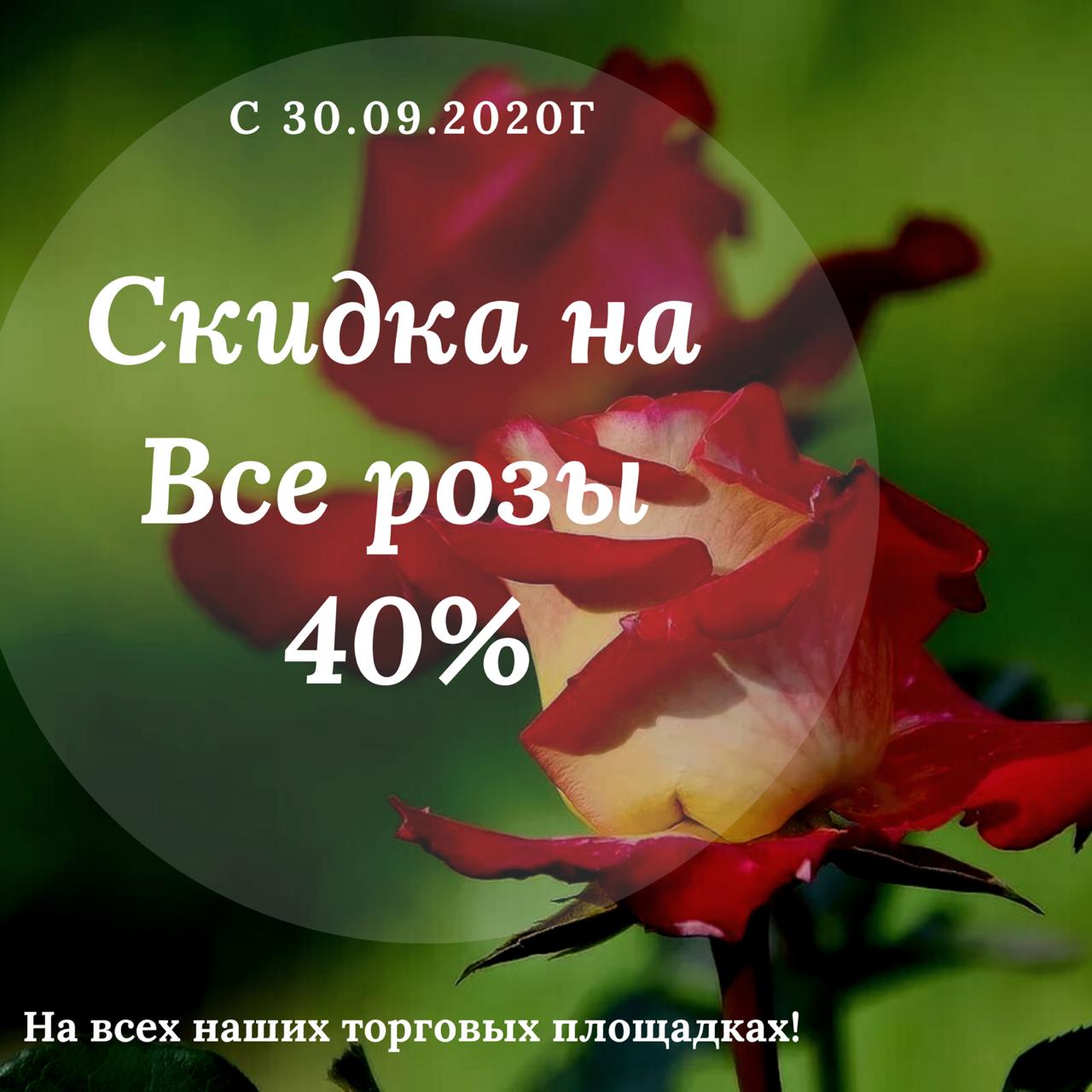 Скидки на розы 2020 Скидки на розы 2020