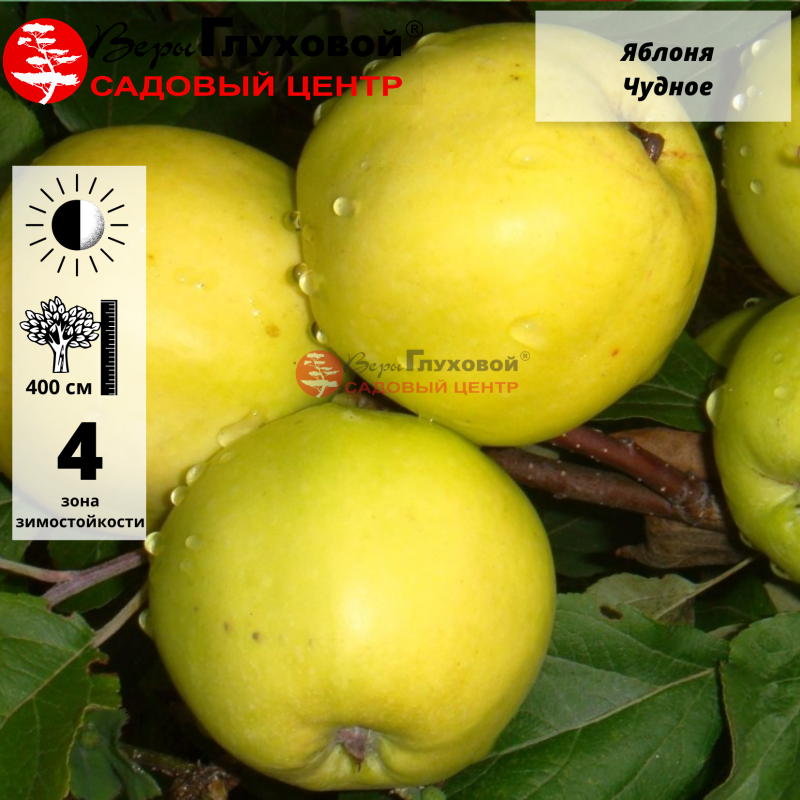 Основное изображение товара