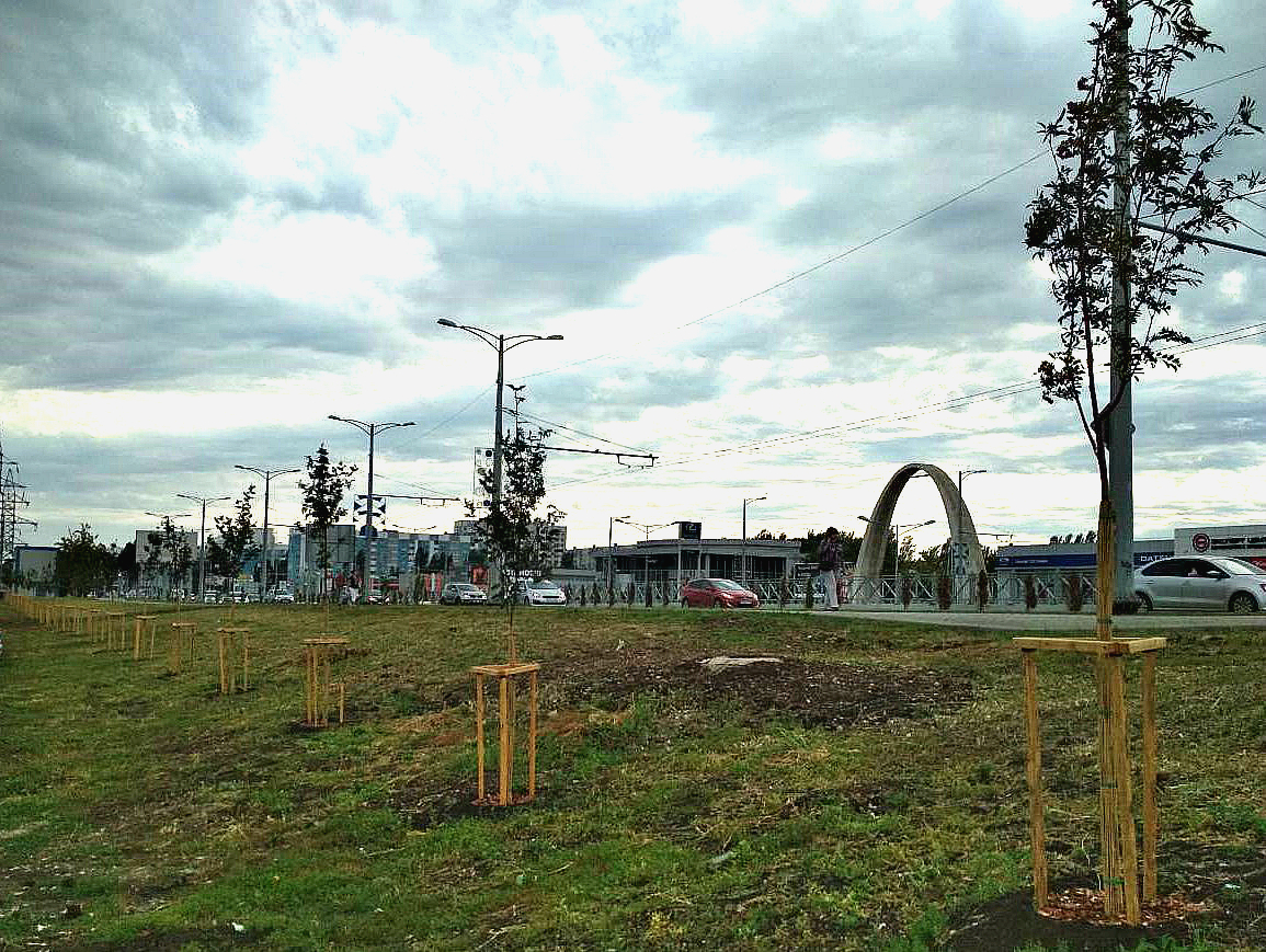 Продолжаются работы по посадке деревьев на Московском шоссе Продолжаются работы по посадке деревьев на Московском шоссе