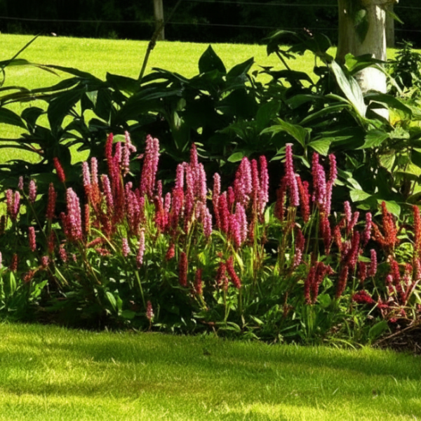 Основное изображение товара