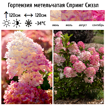 Основное изображение товара