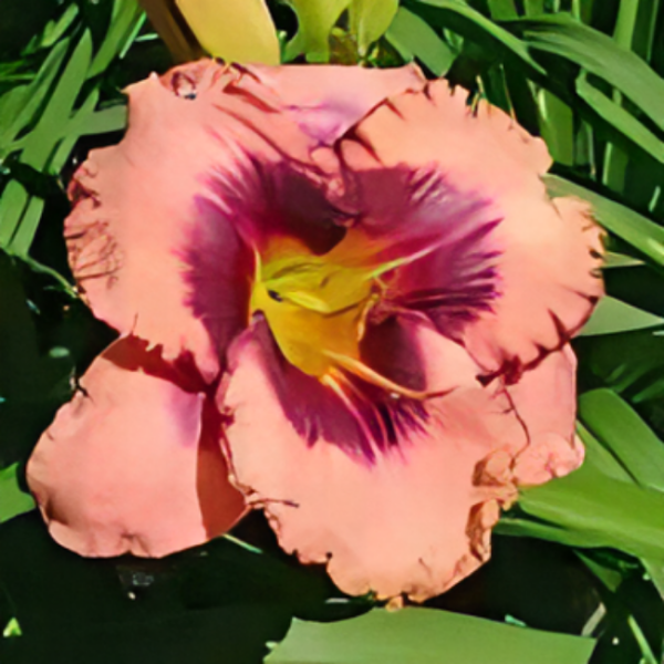 Основное изображение товара