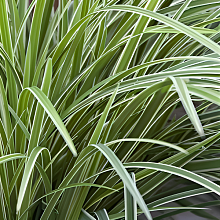 Основное изображение товара