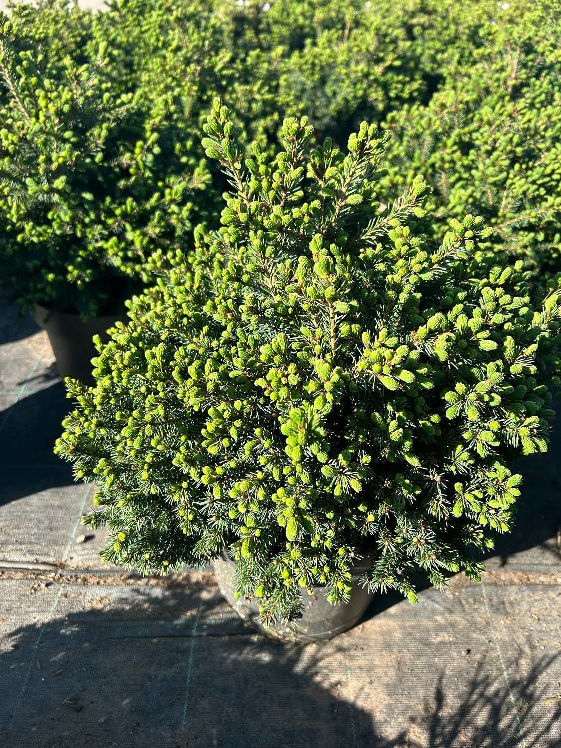 Ваш личный эксклюзив