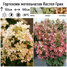 Основное изображение товара