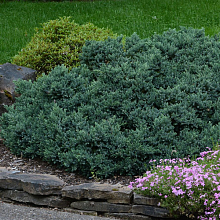 Основное изображение товара