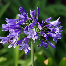 Основное изображение товара